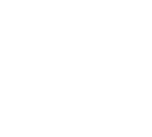 Transiträume_Diamona Harnisch Logo weiss